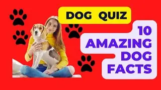 Dog Quiz: Some amazing facts about dogs.