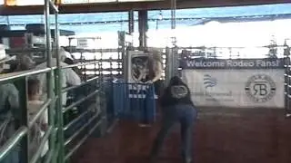 Zaynes World Rides a Sheep