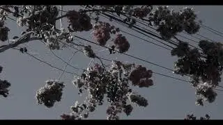 Pluto in Blue (remastered) - Archers Road (video)