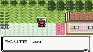 Pok&eacute;mon Gold Silver & Crystal Route 38