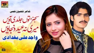 Sajanr Tun Jaldi Aavain Meri Na Eid Wanjaven | Wajid Ali Baghdadi | (Official Music Video) Tp Gold