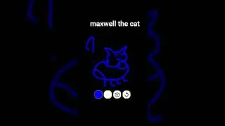 maxwell the cat
