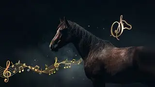 🐎🎶Relaxing Music for Stress Relief Horses