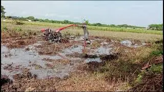 the process of plowing former sugar cane fields.. #fypシ゚viral #plowing 