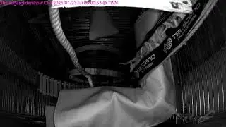 The sugar glider show Ch3 鼠們的世界 --- 蜜袋鼯 24小時直播 24HR live
