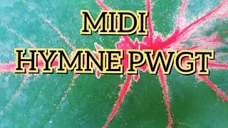 Midi HYMNE PWGT
