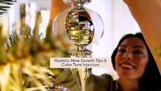 Bethlehem Lights 3-in-1 Micro LED Tree w/ Storage Bag on QVC