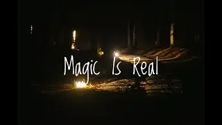 A Walk Through A Magical Moonlit Forest | Forest Lumina