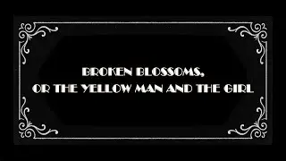 07  Broken Blossoms &ndash; Cinema the Magic Vehicle