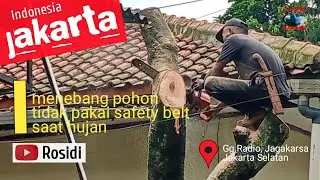 Rosidi exploration : di Indonesia | kota jakarta menebang pohon tidak pakai safety belt saat hujan 