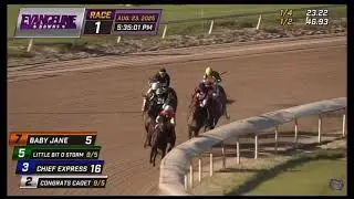 CONGRATS CADET (#2) Rallied Late for Second at Evangeline Downs - 8/23/25