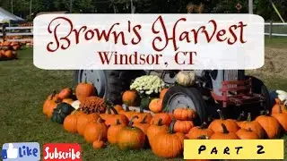 Pumpkin fest 2025 | Brown&rsquo;s Harvest | Part 2 | Hartford, CT | Oct 26, 2025