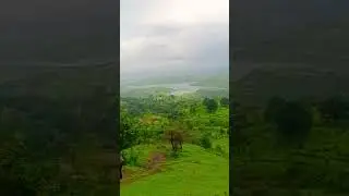 garbett plateau #garbettpoint #nature #shorts