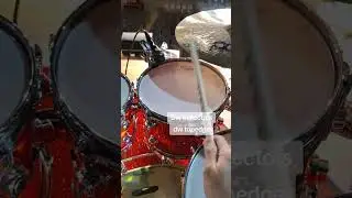 dw collectors tonecheck #drummer #ตีกลอง #มือกลอง #drums #dwdrums #tonecheck