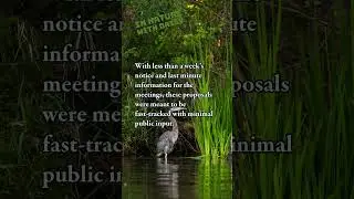 SAVE FL PARKS #savefloridaparks #floridaparks #SaveOurStateParks #psa
