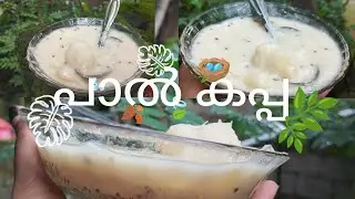 👌 pal kappa Simple recipe😋must try🫶👍#vibewithpreetha #paalkappa #foodvlog #viralvideo #cooking