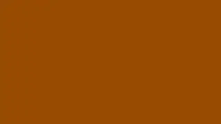 10 Hours of Brown Screen in 4K!
