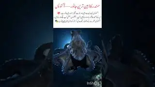 Octopus &ndash; The Smartest Creature of the Ocean#ocean#naturefacts#wildlife#nature#shorts