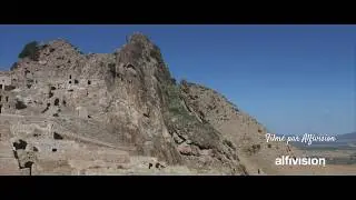 ZRIBA OLIA - La mosqu&eacute;e - Alfivision