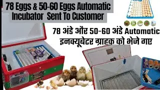 78 अंडे और 50-60 अंडे Automatic इनक्यूबेटर ग्राहक को भेजे गए//78 Egg& 50-60 Egg Automatic Incubator