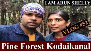 Pine Forest View Kodaikanal | Best Place For Photography | Pine Tree Forest View | Vlog #52