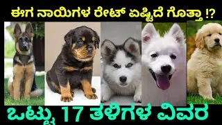 ನಾಯಿಮರಿಗಳ ದರಗಳು ಎಷ್ಟೆಷ್ಟಿದೆ ಗೊತ್ತಾ  | dog puppy price list in Kannada. see Discription for part 2 vd