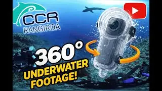 360&deg; CCR Dive | Cave of Sharks, Tiputa Pass &ndash; Rangiroa
