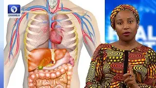 Disease Prevention: People Underestimate Their Bodies Capacity To Fight Infections - Doctor