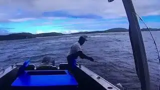 Jiggs Video Barbless Hooks