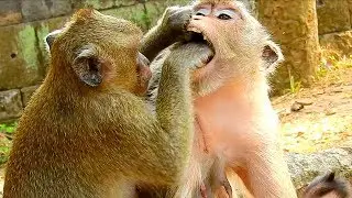 MG God!, Dee Dee Very Rudest To Mama Merri, Putting Her Hand Into Meri Mouth, Why?
