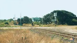 Near Miss at a Level Crossing