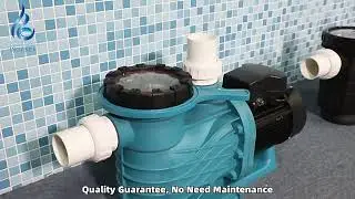 Manufacturer 210V 60HZ 1HP 1.5HP 2HP Swimming Pool Counterflow System Pump Pool Pump Motor Filter
