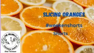 SLICING ORANGES #slicingoranges #weekendshorts #shorts