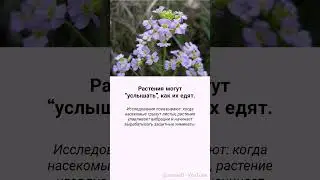 Интересные факты &mdash; Часть 4 | RU #facts #nature #факты
