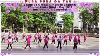 Pura Pura Gak Tahu Line Dance // New Mazayya