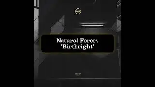 Natural Forces - Birthright - Dispatch Recordings 169