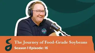The Journey of Food-Grade Soybeans