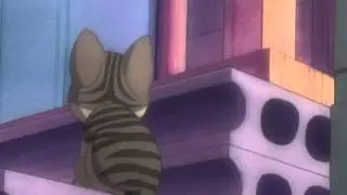 Take Chi Home - AMV - Chi's Sweet New Home