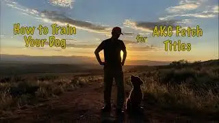 AKC Fetch: How to Train Your Dog for Titles - Highlight Reel