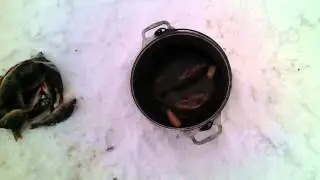 VID 20150222 101916