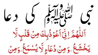 Nabi ﷺ Ki Best Kalmaat | Best Kalmaat