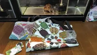 2026.1.18.冬レプ1日目の戦利品