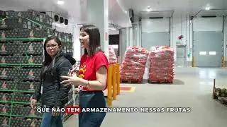 Do campo &agrave; sua mesa: como o mam&atilde;o da AGC chega fresco ao Joanin.
