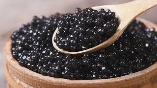 30 লক্ষ টাকার মাছের ডিম🐟 l Caviar-World's Most Expensive Food #shorts #caviar