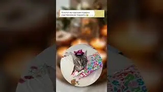 Только о себе думают 😂 P.S. Помогаем удалить несправедливые отзывы, пишите 📨