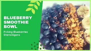 Blueberry Smoothie Bowl l Picking Blueberries | Filipino American Family | Kalishenanigans