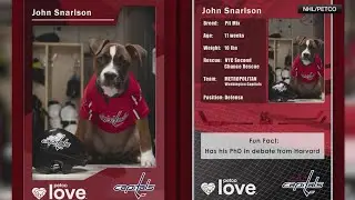 'Stanley Pup' 2025 star-studded competition for NHL Network coming soon