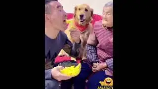 manners Please 🥺🤣 funny comedy short hilarious laugh