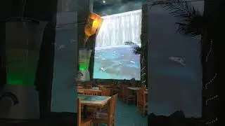 Margaritaville Niagara Falls Show September 24th, 2024