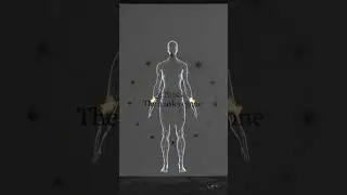 3. Break: The mask is gone